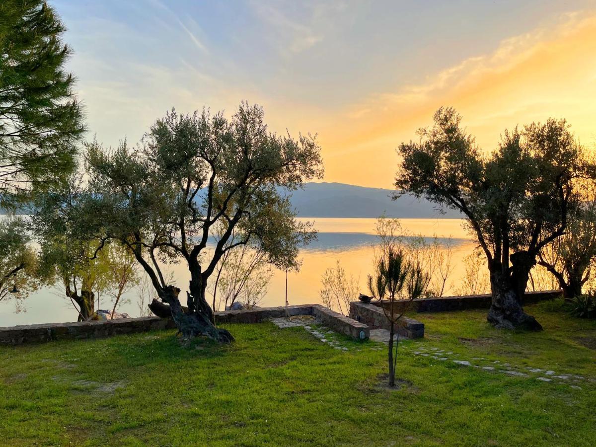 Traditional Architecture Seafront Stone House In 25000Sqm Olive Grove - C Villa Alyfanta Dış mekan fotoğraf