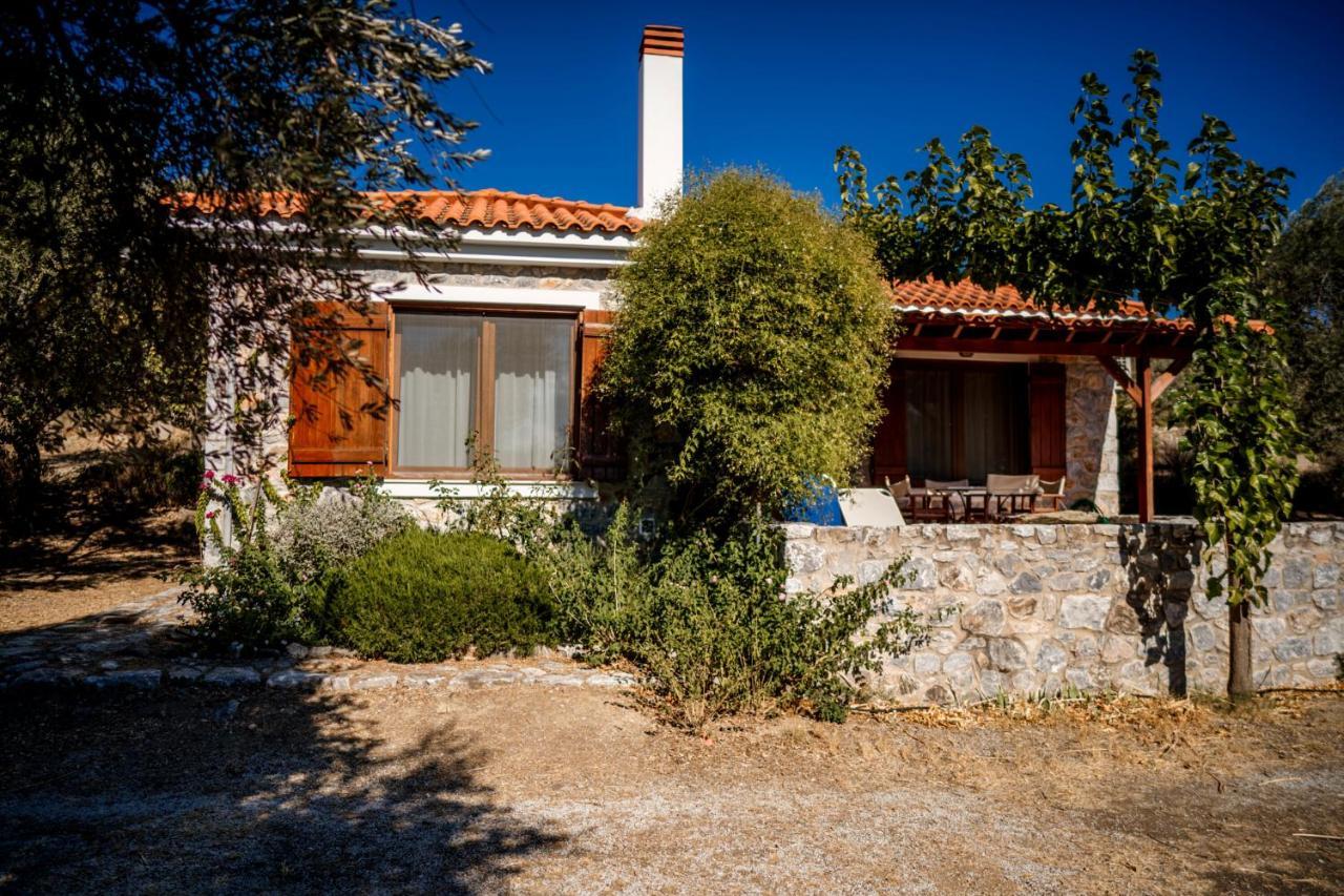 Traditional Architecture Seafront Stone House In 25000Sqm Olive Grove - C Villa Alyfanta Dış mekan fotoğraf