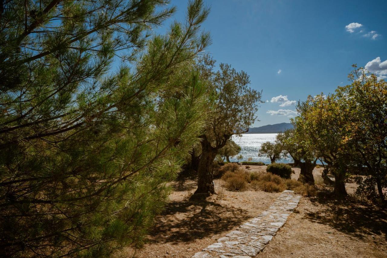 Traditional Architecture Seafront Stone House In 25000Sqm Olive Grove - C Villa Alyfanta Dış mekan fotoğraf