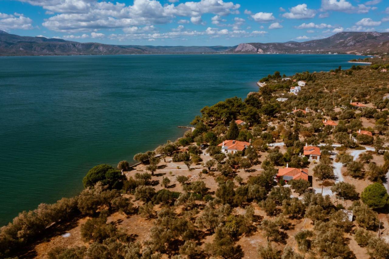 Traditional Architecture Seafront Stone House In 25000Sqm Olive Grove - C Villa Alyfanta Dış mekan fotoğraf