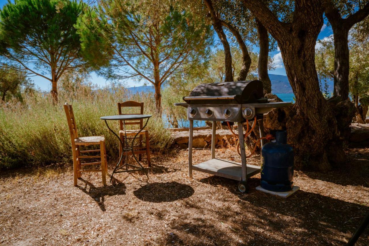 Traditional Architecture Seafront Stone House In 25000Sqm Olive Grove - C Villa Alyfanta Dış mekan fotoğraf